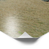 White Rhino Fotodruck (Ecke)