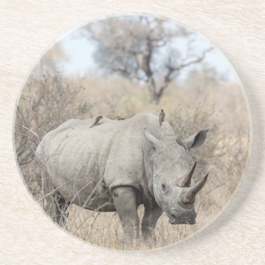 White Rhino Getränkeuntersetzer (Vorne)