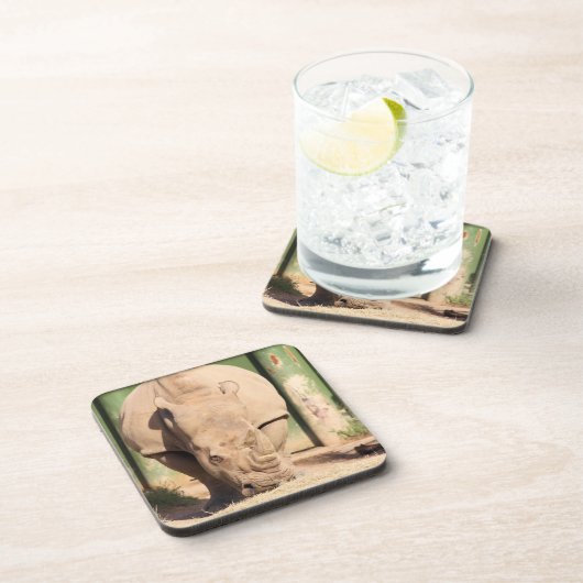 White Rhino Getränkeuntersetzer (Rechte Seite)