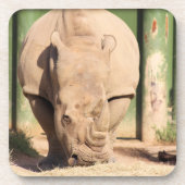 White Rhino Getränkeuntersetzer (Vorderseite)
