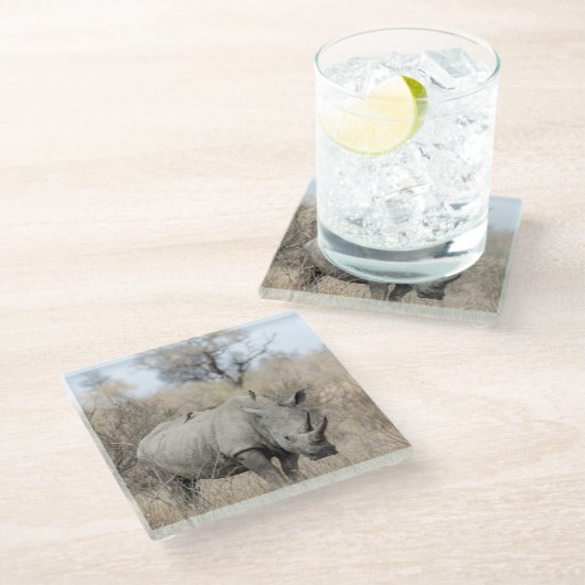 White Rhino Glasuntersetzer (Schrägansicht)