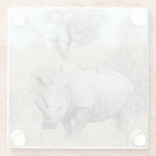 White Rhino Glasuntersetzer (Rückseite)