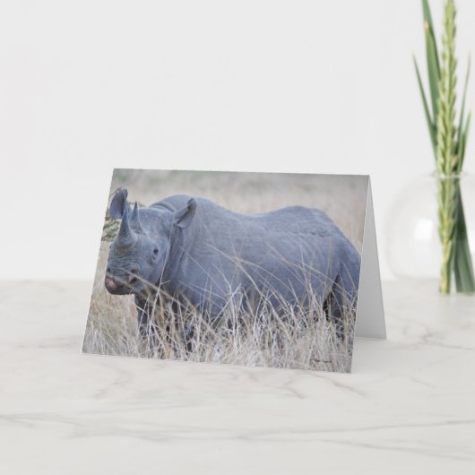 White Rhino Grußkarte Karte (Vorderseite)