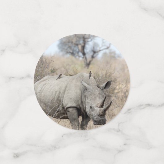 White Rhino Konfetti (Klein Vorderseite)