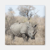 White Rhino Magnet (Vorne)