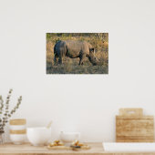 White Rhino Poster (Küche)
