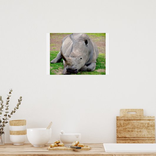 White Rhino Poster (Küche)