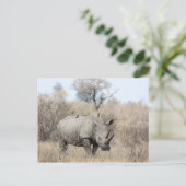 White Rhino Postkarte (Stehend Vorderseite)