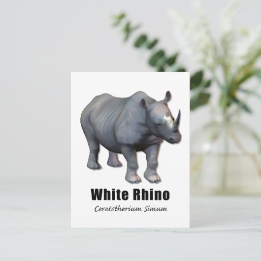 White Rhino Postkarte (Stehend Vorderseite)