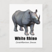 White Rhino Postkarte (Vorderseite)