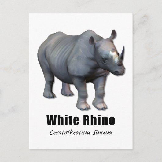 White Rhino Postkarte (Vorderseite)