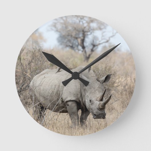 White Rhino Runde Wanduhr (Vorderseite)