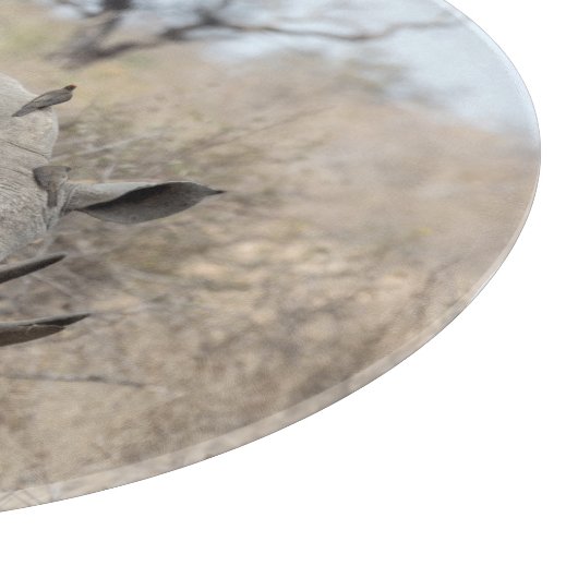 White Rhino Schneidebrett (Ecke)