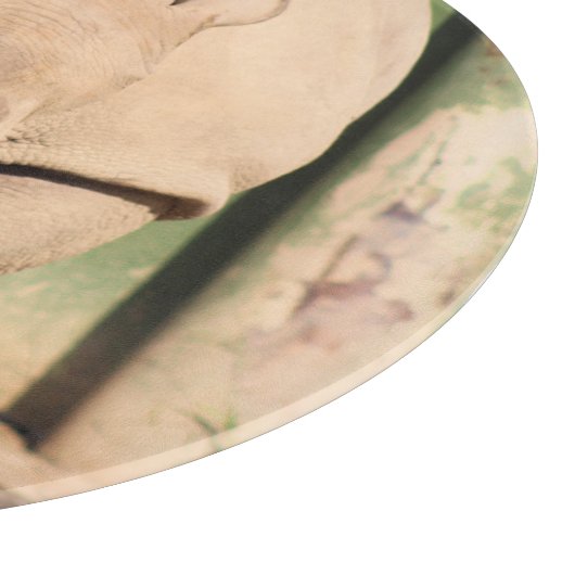 White Rhino Schneidebrett (Ecke)