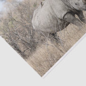 White Rhino Seidenpapier (Ausschnitt)