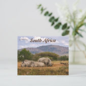 White Rhinos Hluhluwe-Mifolozi Park Südafrika Postkarte (Stehend Vorderseite)
