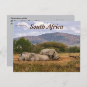 White Rhinos Hluhluwe-Mifolozi Park Südafrika Postkarte (Vorne/Hinten)