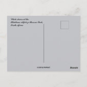 White Rhinos Hluhluwe-Mifolozi Park Südafrika Postkarte (Rückseite)