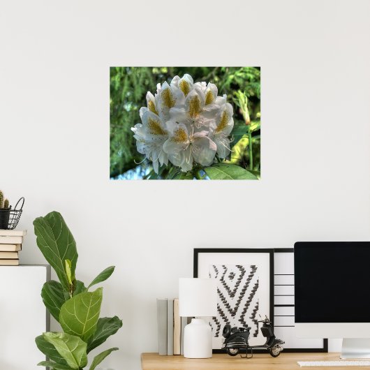White Rhododendron Poster (Heimbüro)