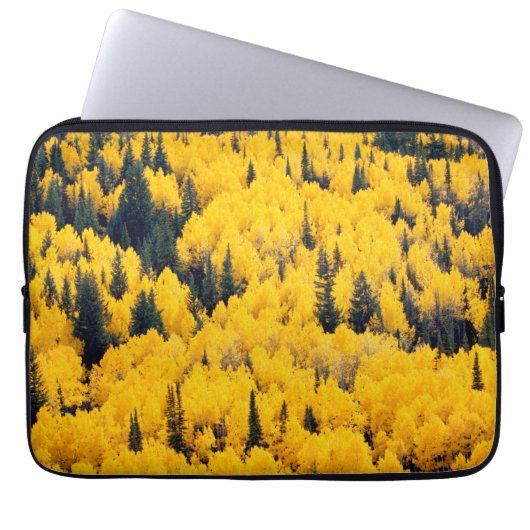 White River National Forest | Aspen, Colorada Laptopschutzhülle (Vorderseite)