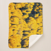 White River National Forest | Aspen, Colorada Sherpadecke (Vorderseite)