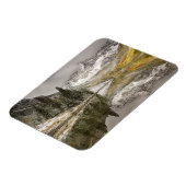 White River National Forest Colorado Magnet (Linke Seite)