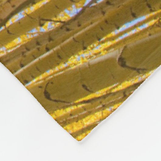 White River National Forest Fleecedecke (Ecke)