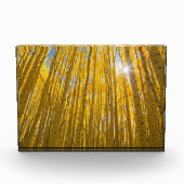 White River National Forest Fotoblock (Vorderseite)