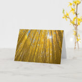 White River National Forest Karte (Gelbe Blume)