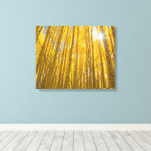 White River National Forest Leinwanddruck (Insitu (Holzboden))