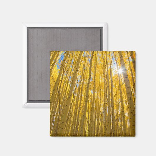 White River National Forest Magnet (Vorderseite/Rückseite)