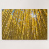 White River National Forest Puzzle (Horizontal)