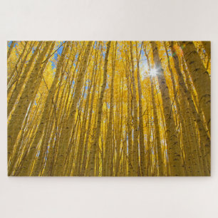 White River National Forest Puzzle