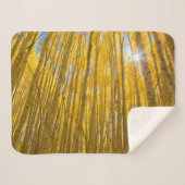 White River National Forest Sherpadecke (Vorderseite (Horizontal))