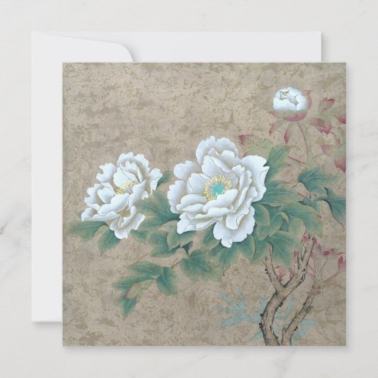 White Rose (Vorderseite)