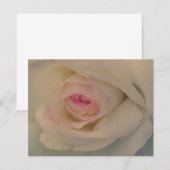 White Rose (Vorne/Hinten)