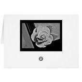 White Rose (Rückseite Horizontal)