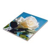 White Rose Beauty Fliese (Seite)