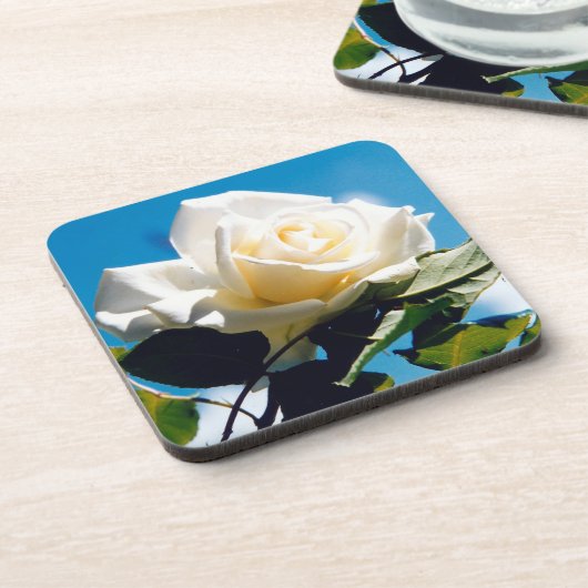 White Rose Beauty Getränkeuntersetzer (Linke Seite)