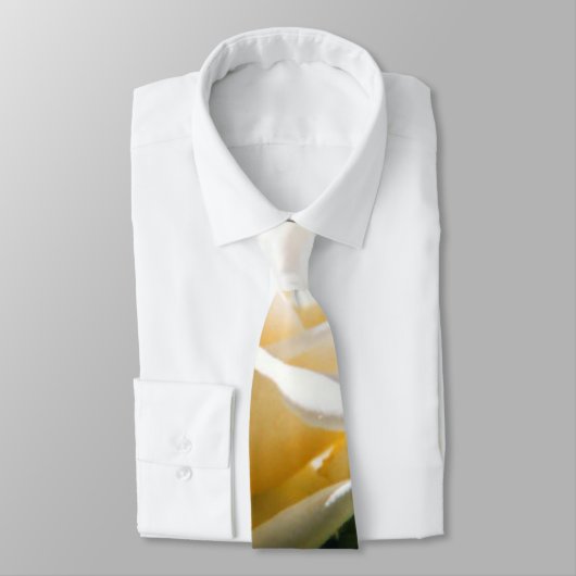 White Rose Beauty Krawatte (Gebunden)