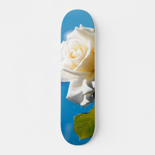 White Rose Beauty Skateboard (Vorne)