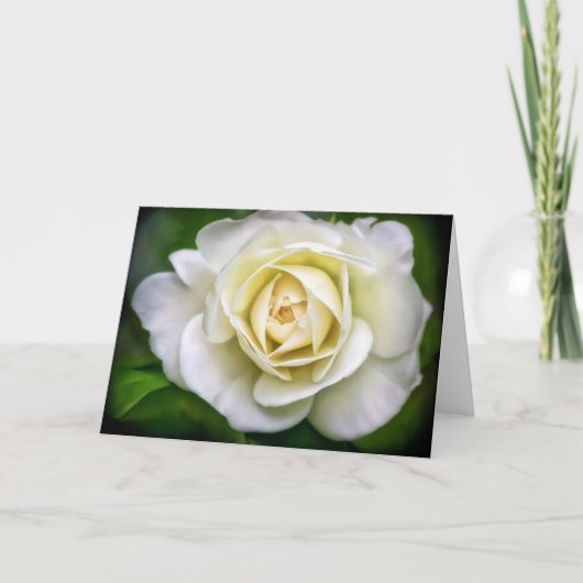 White Rose Blume Art Blank Note Card Karte (Vorderseite)