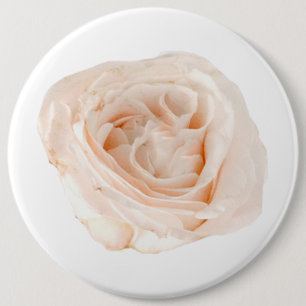 White Rose Blume Button