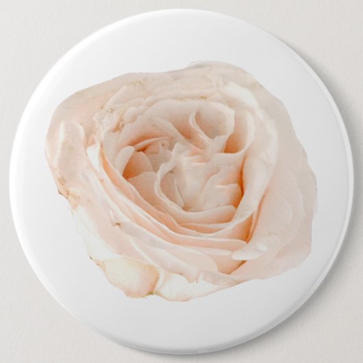 White Rose Blume Button (Vorderseite)