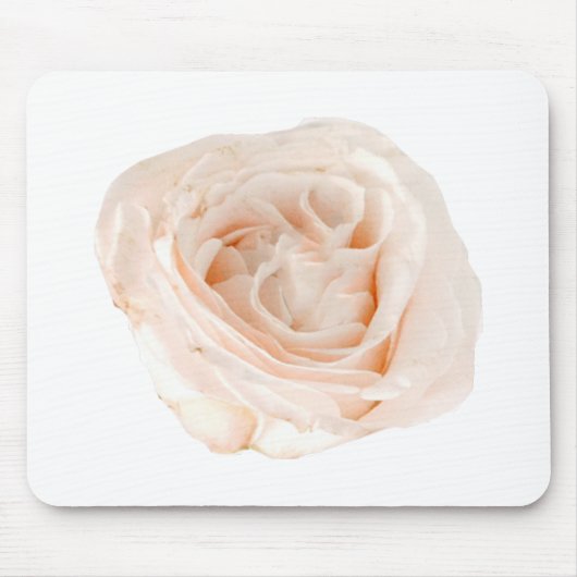 White Rose Blume Mousepad (Vorne)