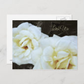 White Rose Blume | Vielen Dank Postkarten (Vorne/Hinten)