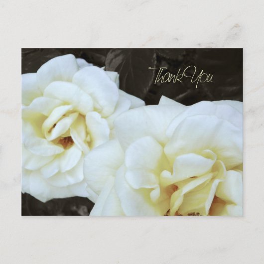 White Rose Blume | Vielen Dank Postkarten (Vorderseite)