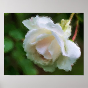 White Rose Blumen Art Poster