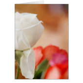 White Rose Bokeh Emerson Zitat (Vorne)