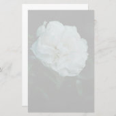 White Rose Briefpapier (Vorne/Hinten)